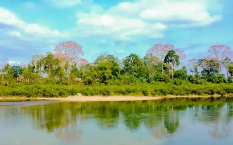 طقس مشمس نهاراً مع فرص هطول أمطار متفرقة بعد الظهر والمساء